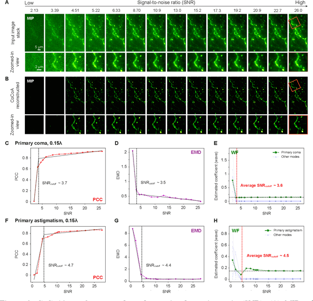 Figure 3 for Coordinate-based neural representations for computational adaptive optics in widefield microscopy