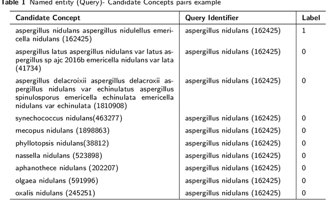 Figure 2 for Bi-Encoders based Species Normalization -- Pairwise Sentence Learning to Rank