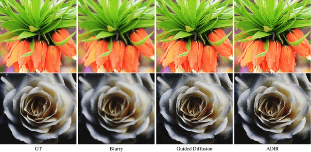 Figure 3 for ADIR: Adaptive Diffusion for Image Reconstruction