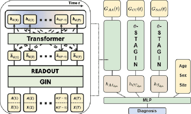 Figure 1 for Spatio-Temporal Attention in Multi-Granular Brain Chronnectomes for Detection of Autism Spectrum Disorder