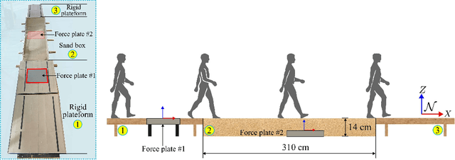Figure 1 for Biomechanical Comparison of Human Walking Locomotion on Solid Ground and Sand