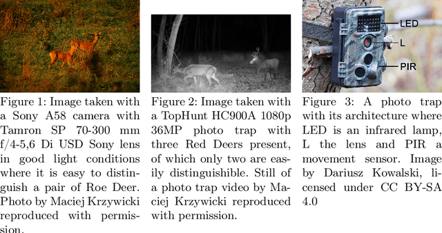 Figure 1 for Citizen Science and Machine Learning for Research and Nature Conservation: The Case of Eurasian Lynx, Free-ranging Rodents and Insects