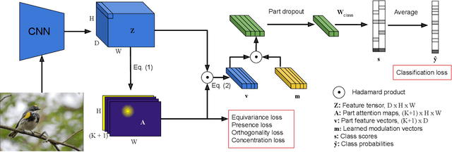 Figure 3 for PDiscoNet: Semantically consistent part discovery for fine-grained recognition