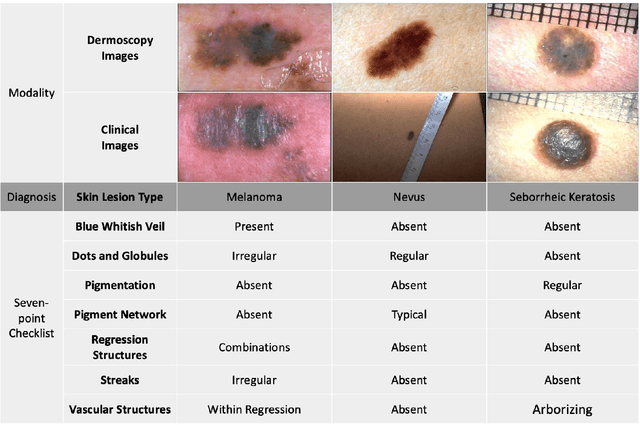 Figure 1 for Self-Supervised Multi-Modality Learning for Multi-Label Skin Lesion Classification