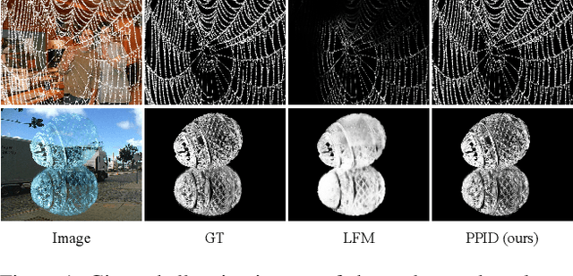 Figure 1 for Privileged Prior Information Distillation for Image Matting