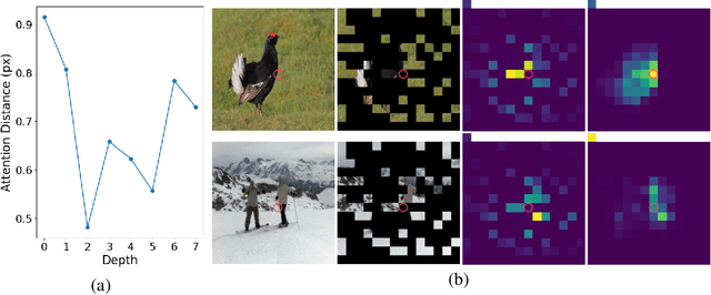 Figure 1 for Understanding Masked Autoencoders From a Local Contrastive Perspective