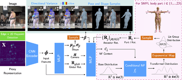 Figure 3 for HuManiFlow: Ancestor-Conditioned Normalising Flows on SO(3) Manifolds for Human Pose and Shape Distribution Estimation