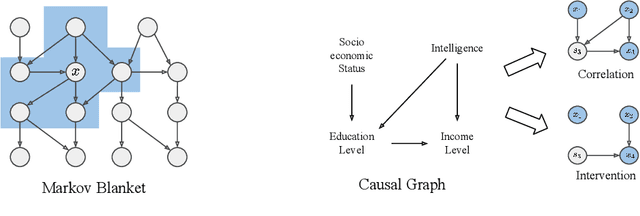 Figure 1 for Causal Inference via Predictive Coding