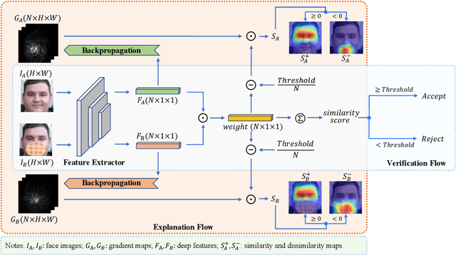 Figure 1 for Explainable Face Verification via Feature-Guided Gradient Backpropagation