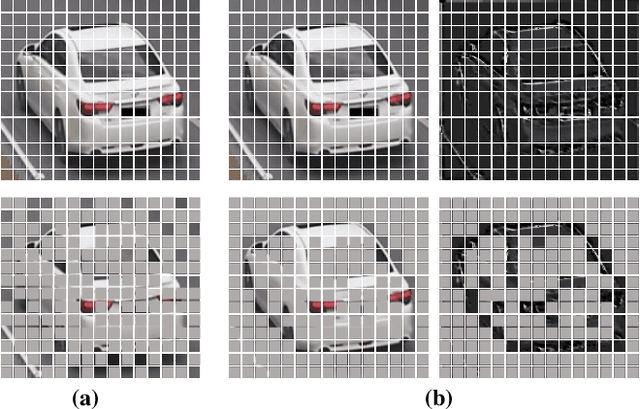 Figure 1 for ConMAE: Contour Guided MAE for Unsupervised Vehicle Re-Identification
