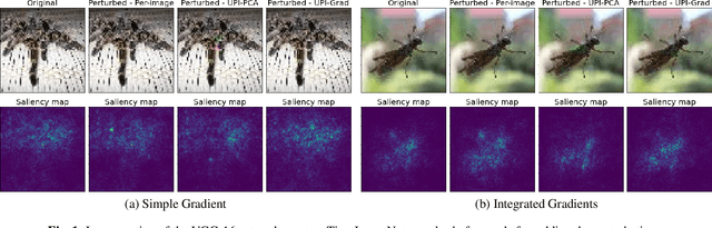 Figure 1 for Interpretation of Neural Networks is Susceptible to Universal Adversarial Perturbations