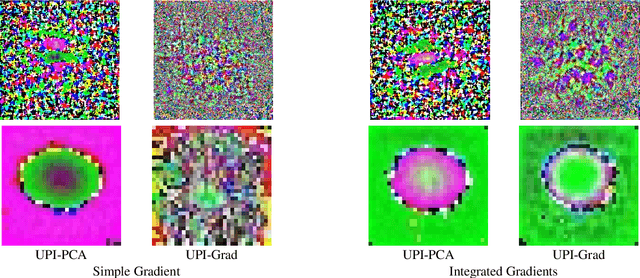 Figure 3 for Interpretation of Neural Networks is Susceptible to Universal Adversarial Perturbations