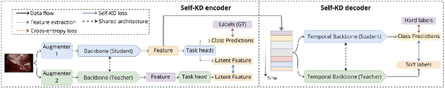 Figure 1 for Self-Knowledge Distillation for Surgical Phase Recognition