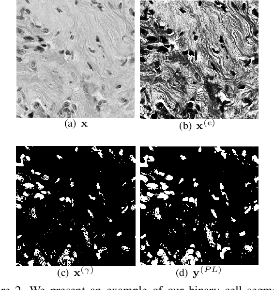 Figure 3 for Knowing What to Label for Few Shot Microscopy Image Cell Segmentation