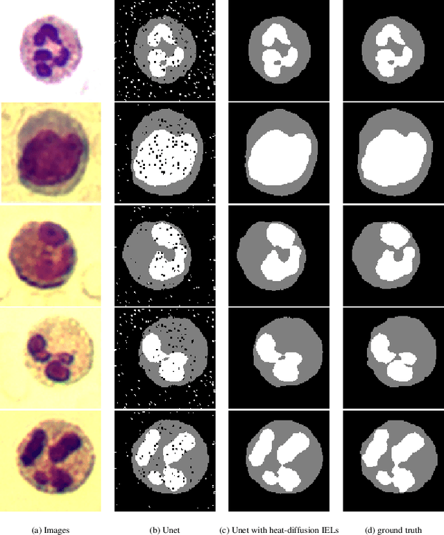 Figure 4 for Inverse Evolution Layers: Physics-informed Regularizers for Deep Neural Networks