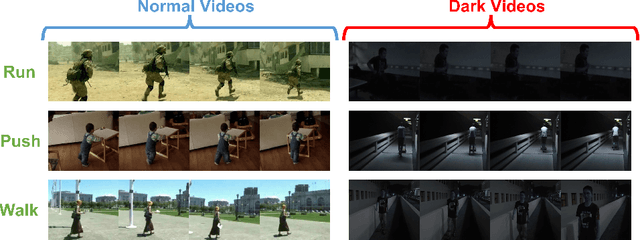 Figure 1 for Unlimited Knowledge Distillation for Action Recognition in the Dark