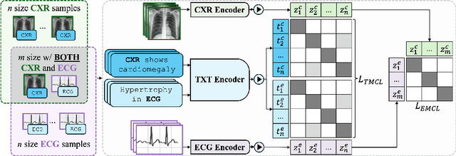 Figure 1 for MEDBind: Unifying Language and Multimodal Medical Data Embeddings
