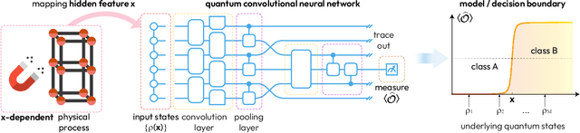 Figure 1 for What can we learn from quantum convolutional neural networks?