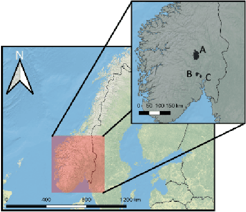 Figure 2 for Forest Parameter Prediction by Multiobjective Deep Learning of Regression Models Trained with Pseudo-Target Imputation