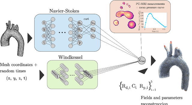 Figure 3 for Physics-informed neural networks for blood flow inverse problems