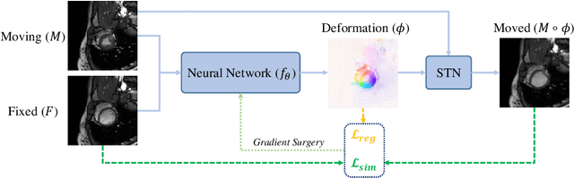 Figure 1 for GSMorph: Gradient Surgery for cine-MRI Cardiac Deformable Registration