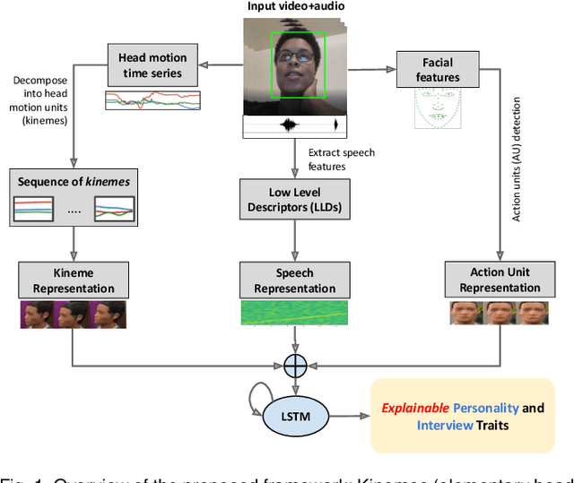 Figure 1 for Explainable Human-centered Traits from Head Motion and Facial Expression Dynamics