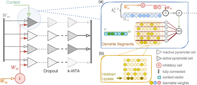 Figure 1 for A Study of Biologically Plausible Neural Network: The Role and Interactions of Brain-Inspired Mechanisms in Continual Learning