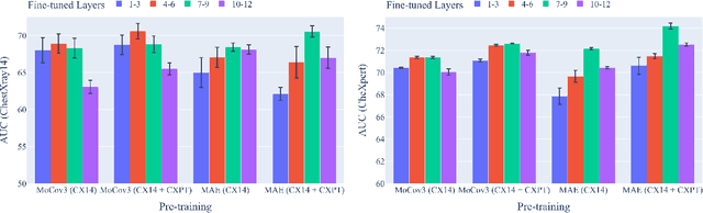 Figure 3 for Revisiting Fine-Tuning Strategies for Self-supervised Medical Imaging Analysis