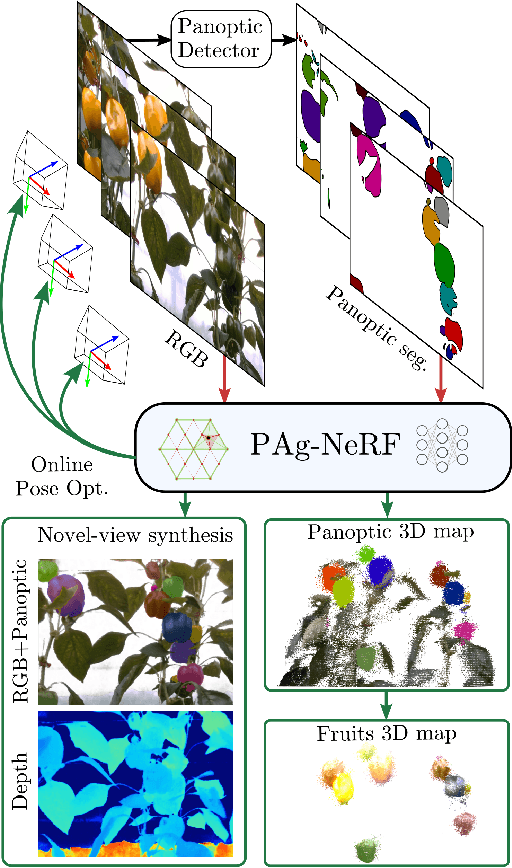 Figure 1 for PAg-NeRF: Towards fast and efficient end-to-end panoptic 3D representations for agricultural robotics