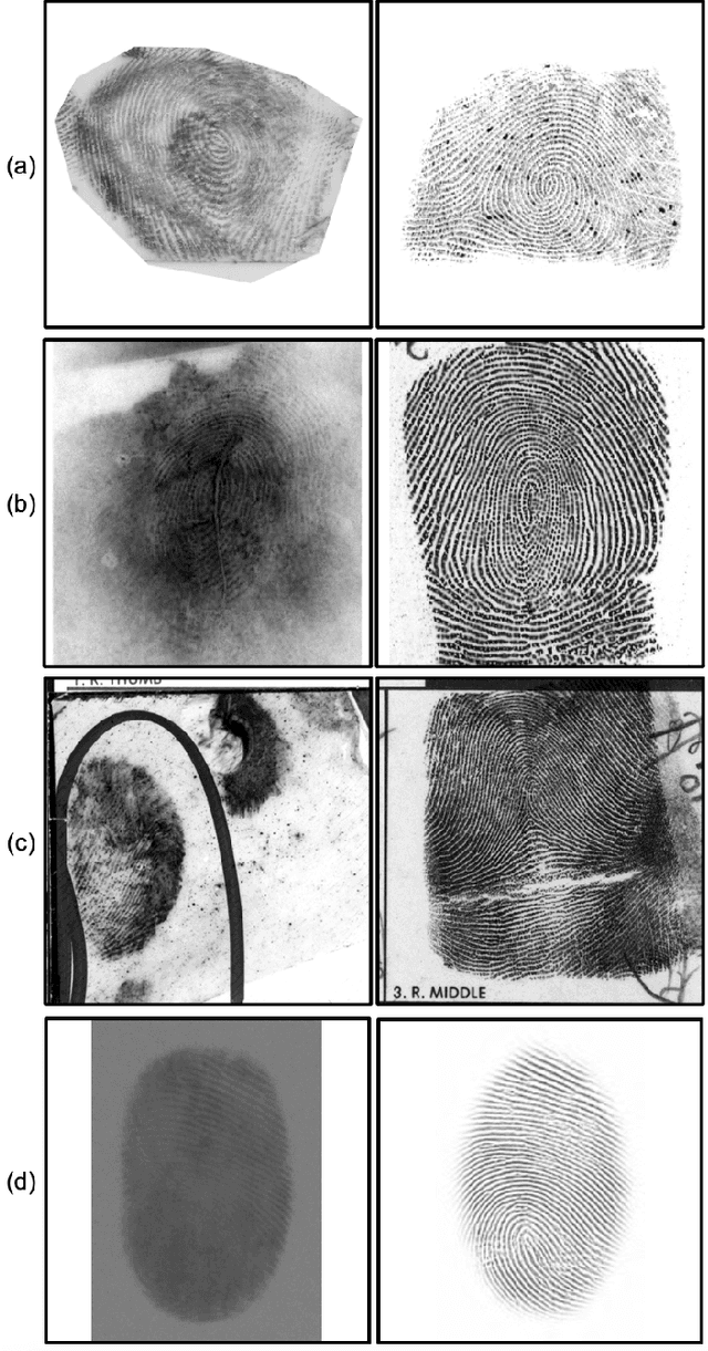 Figure 1 for Latent Fingerprint Recognition: Fusion of Local and Global Embeddings