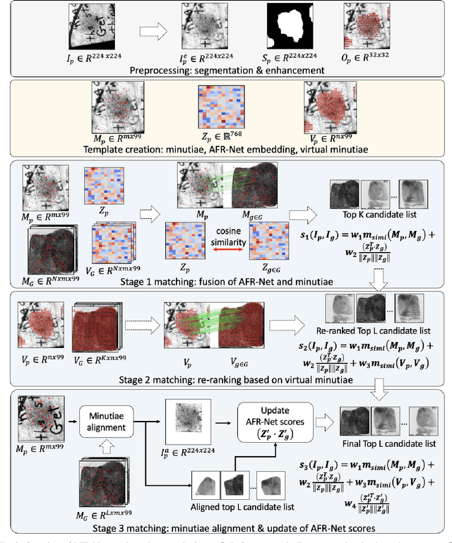 Figure 2 for Latent Fingerprint Recognition: Fusion of Local and Global Embeddings