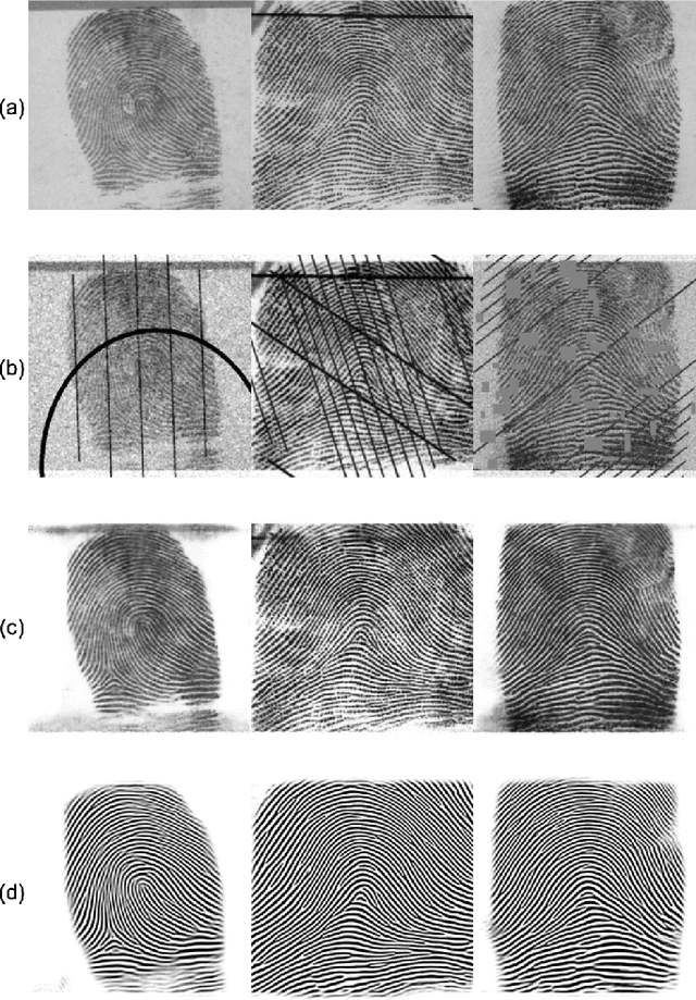 Figure 4 for Latent Fingerprint Recognition: Fusion of Local and Global Embeddings