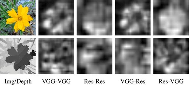 Figure 2 for Mutual Information Regularization for Weakly-supervised RGB-D Salient Object Detection