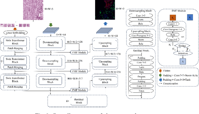 Figure 3 for HEMIT: H&E to Multiplex-immunohistochemistry Image Translation with Dual-Branch Pix2pix Generator