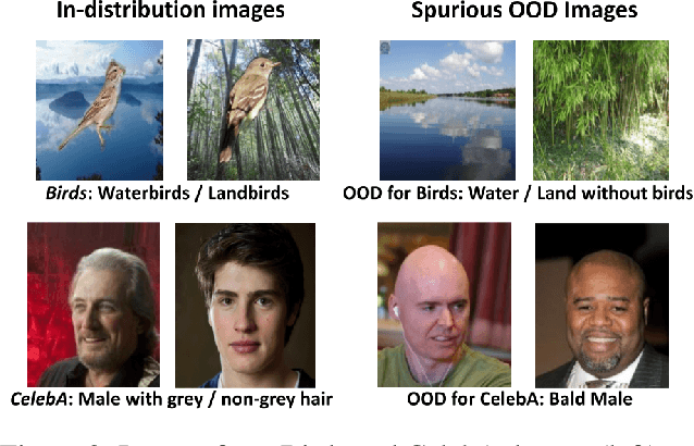 Figure 3 for Using Semantic Information for Defining and Detecting OOD Inputs