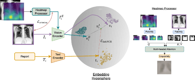 Figure 3 for Improving Medical Multi-modal Contrastive Learning with Expert Annotations