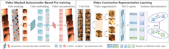 Figure 3 for Colo-SCRL: Self-Supervised Contrastive Representation Learning for Colonoscopic Video Retrieval