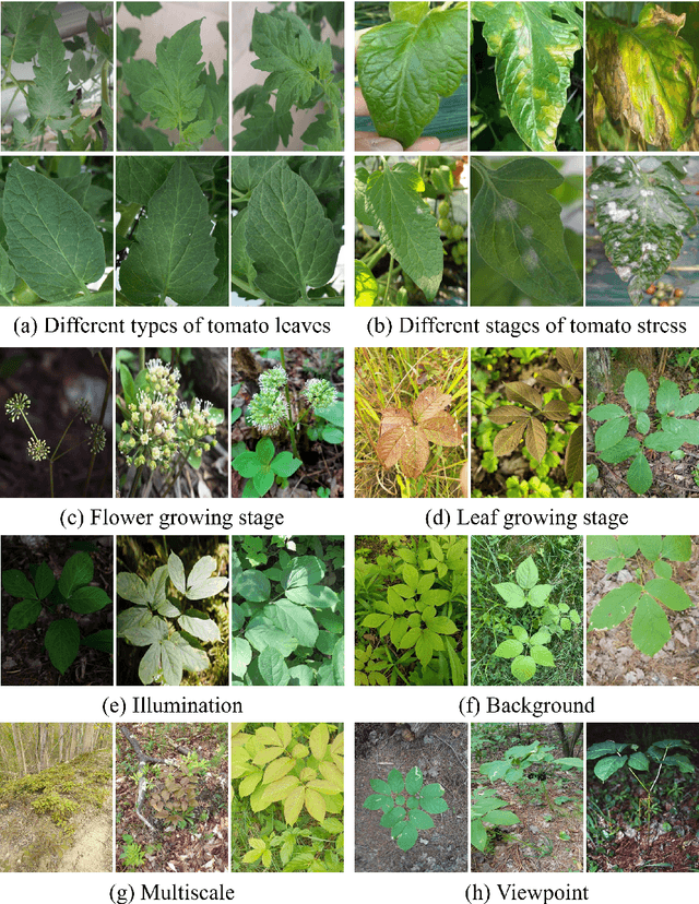 Figure 3 for Embracing Limited and Imperfect Data: A Review on Plant Stress Recognition Using Deep Learning