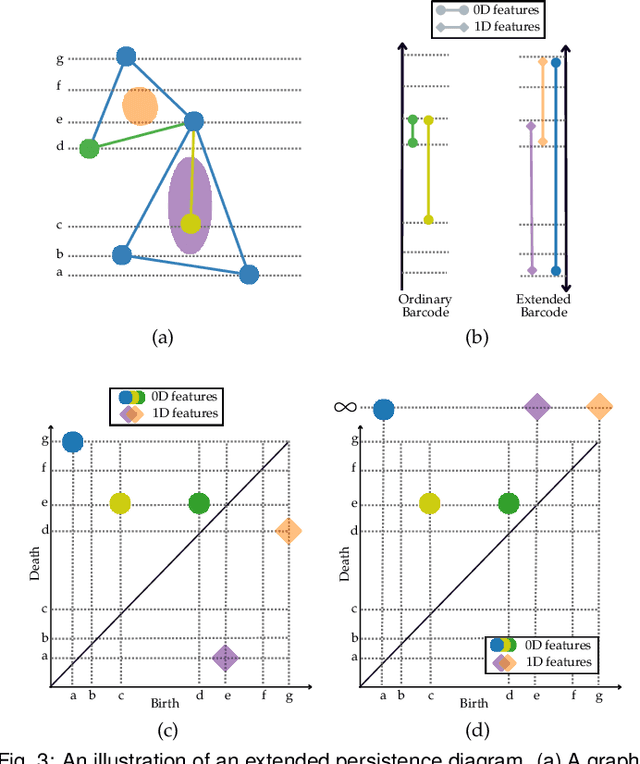 Figure 3 for Visualizing Topological Importance: A Class-Driven Approach