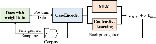 Figure 1 for CaseEncoder: A Knowledge-enhanced Pre-trained Model for Legal Case Encoding