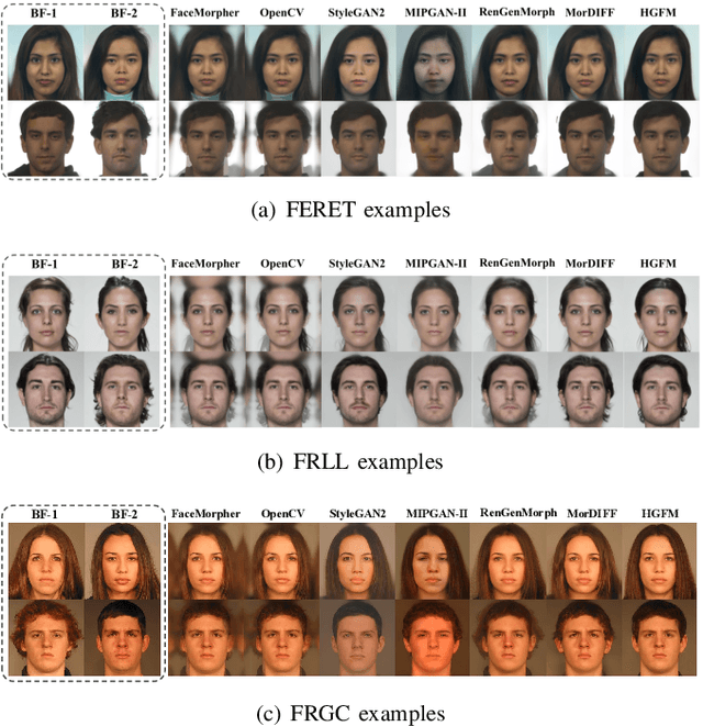 Figure 3 for Hierarchical Generative Network for Face Morphing Attacks