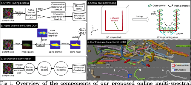 Figure 1 for Online Multi-spectral Neuron Tracing