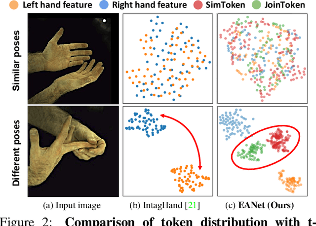 Figure 3 for Extract-and-Adaptation Network for 3D Interacting Hand Mesh Recovery