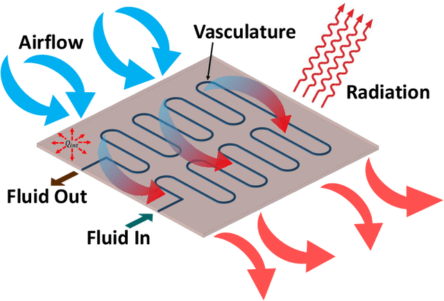 Figure 3 for CoolPINNs: A Physics-informed Neural Network Modeling of Active Cooling in Vascular Systems