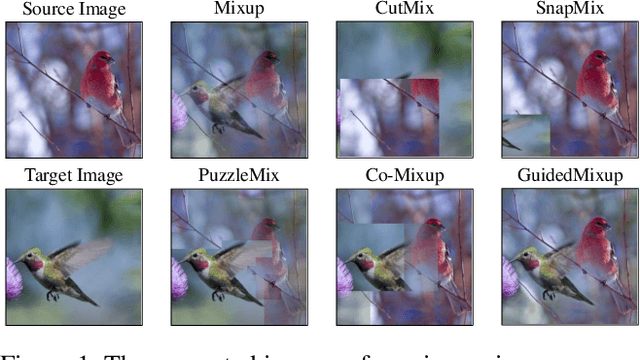 Figure 1 for GuidedMixup: An Efficient Mixup Strategy Guided by Saliency Maps