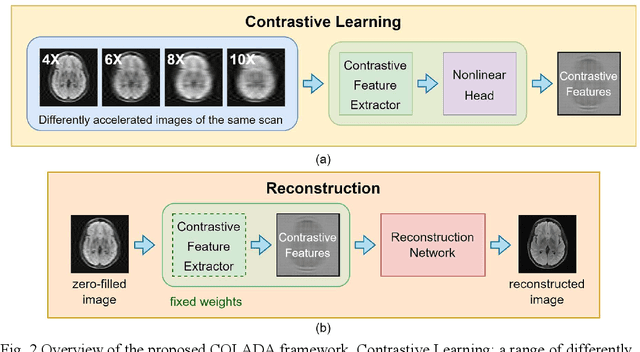 Figure 3 for Contrastive Learning MRI Reconstruction