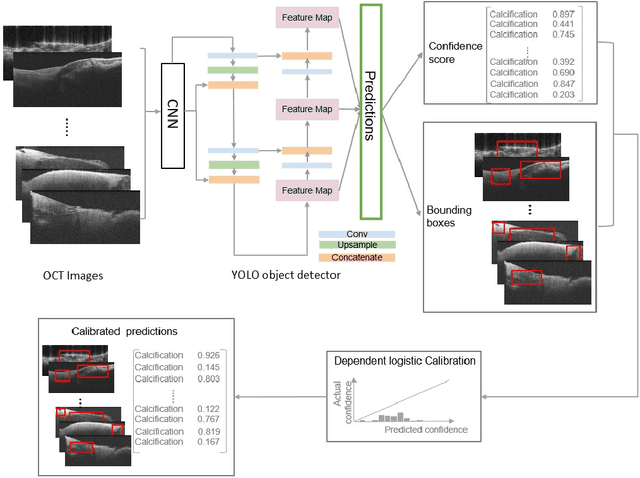 Figure 3 for Towards reliable calcification detection: calibration of uncertainty in coronary optical coherence tomography images
