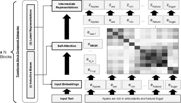 Figure 1 for Knowledge-Infused Self Attention Transformers