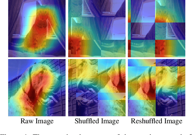 Figure 1 for Boosting Adversarial Transferability by Block Shuffle and Rotation