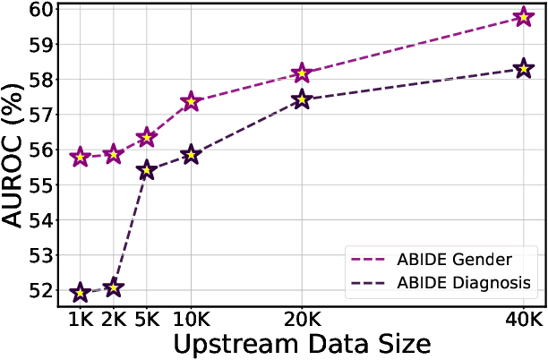 Figure 4 for Joint-Embedding Masked Autoencoder for Self-supervised Learning of Dynamic Functional Connectivity from the Human Brain